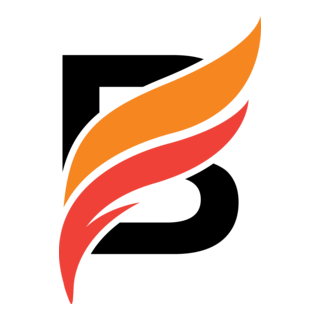 BrandFire Logo PNG Vector