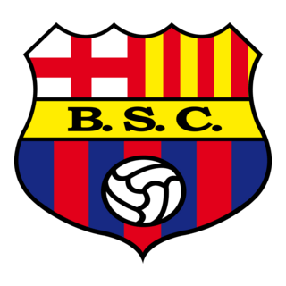 BSC Logo PNG Vector