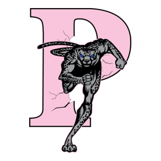 chita Logo PNG Vector