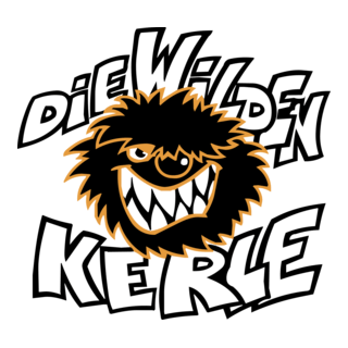 Die wilden Kerle Logo PNG Vector