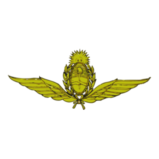 Fuerza Aerea Argentina | Argentina Air Force Logo PNG Vector