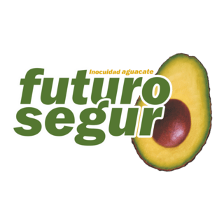 Futuro Seguro Logo PNG Vector