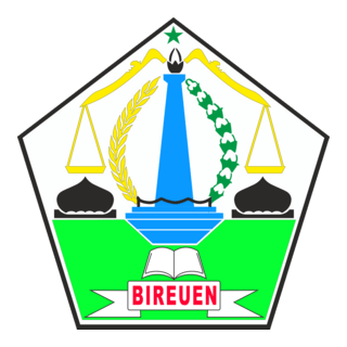KABUPATEN BIREUEN Logo PNG Vector