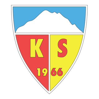 Kayserispor Logo PNG Vector
