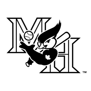 Medicine Hat Blue Jays Logo PNG Vector