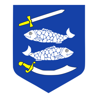 Narva Logo PNG Vector