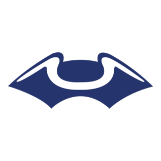 New England Patriots Logo PNG Vector