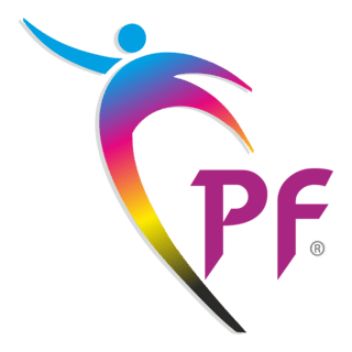 Punjab Flex Logo PNG Vector