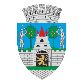 Satu Mare Logo PNG Vector