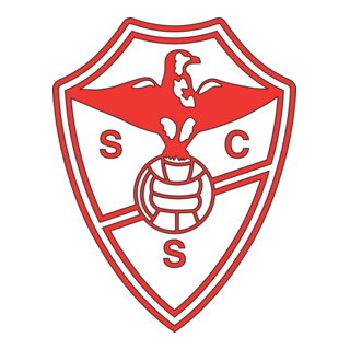 SC Salgueiros Porto Logo PNG Vector