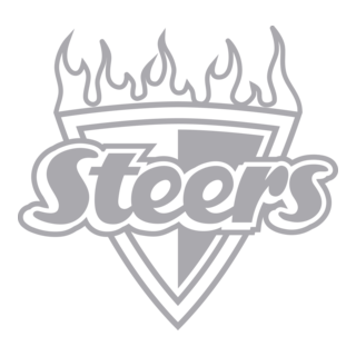 steers Logo PNG Vector