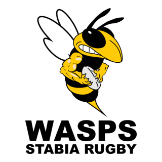Wasps Stabia Rugby Logo PNG Vector
