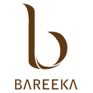 Bareeka Business parks Logo PNG Vector