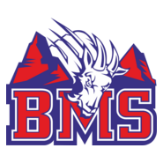 BMS Logo PNG Vector