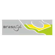 Brasil Sul Linhas Rodoviárias Flag Logo PNG Vector