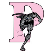 chita Logo PNG Vector