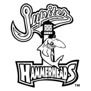 Jupiter Hammerheads Logo PNG Vector