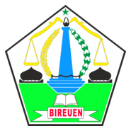 KABUPATEN BIREUEN Logo PNG Vector