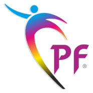 Punjab Flex Logo PNG Vector