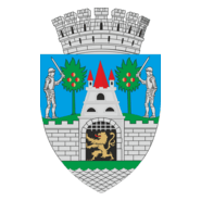 Satu Mare Logo PNG Vector