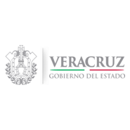 Veracruz Gobierno del Estado Logo PNG Vector