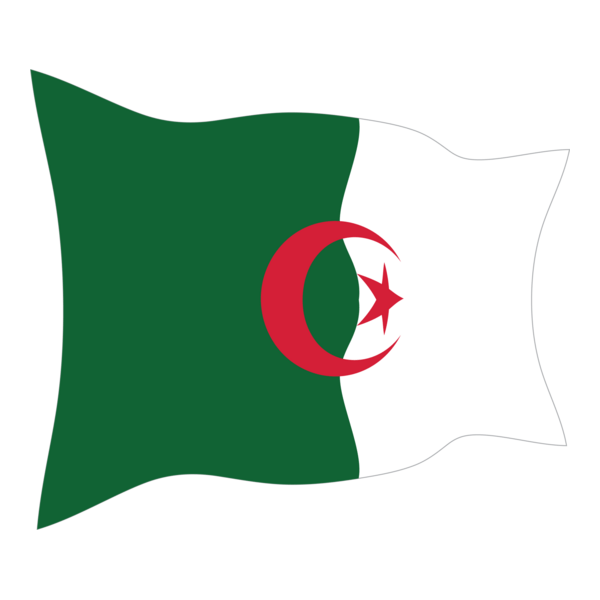 ALGERIAN WAVY FLAG Logo PNG Vector