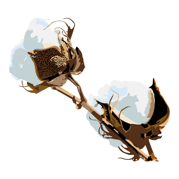 cotton ball Logo PNG Vector