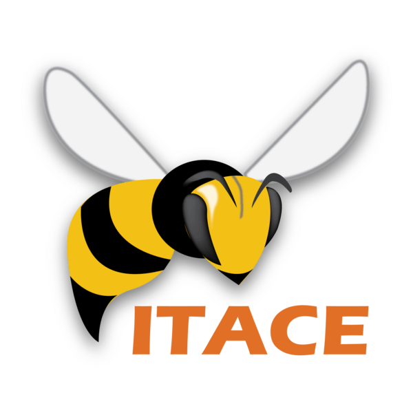 ITACE Logo PNG Vector