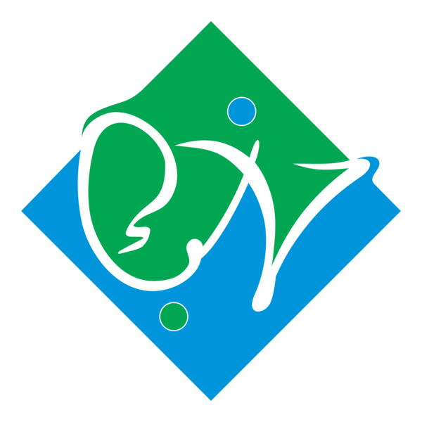 Naba Logo PNG Vector