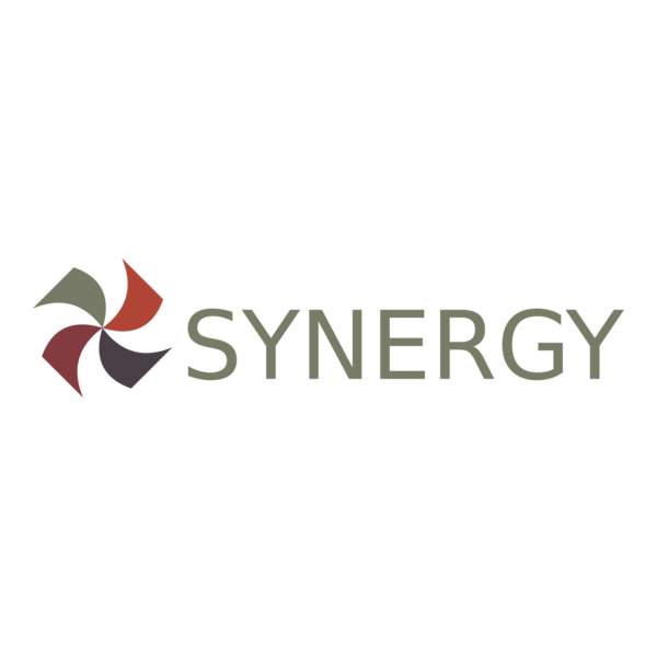 Synergy Financial Group Logo PNG Vector