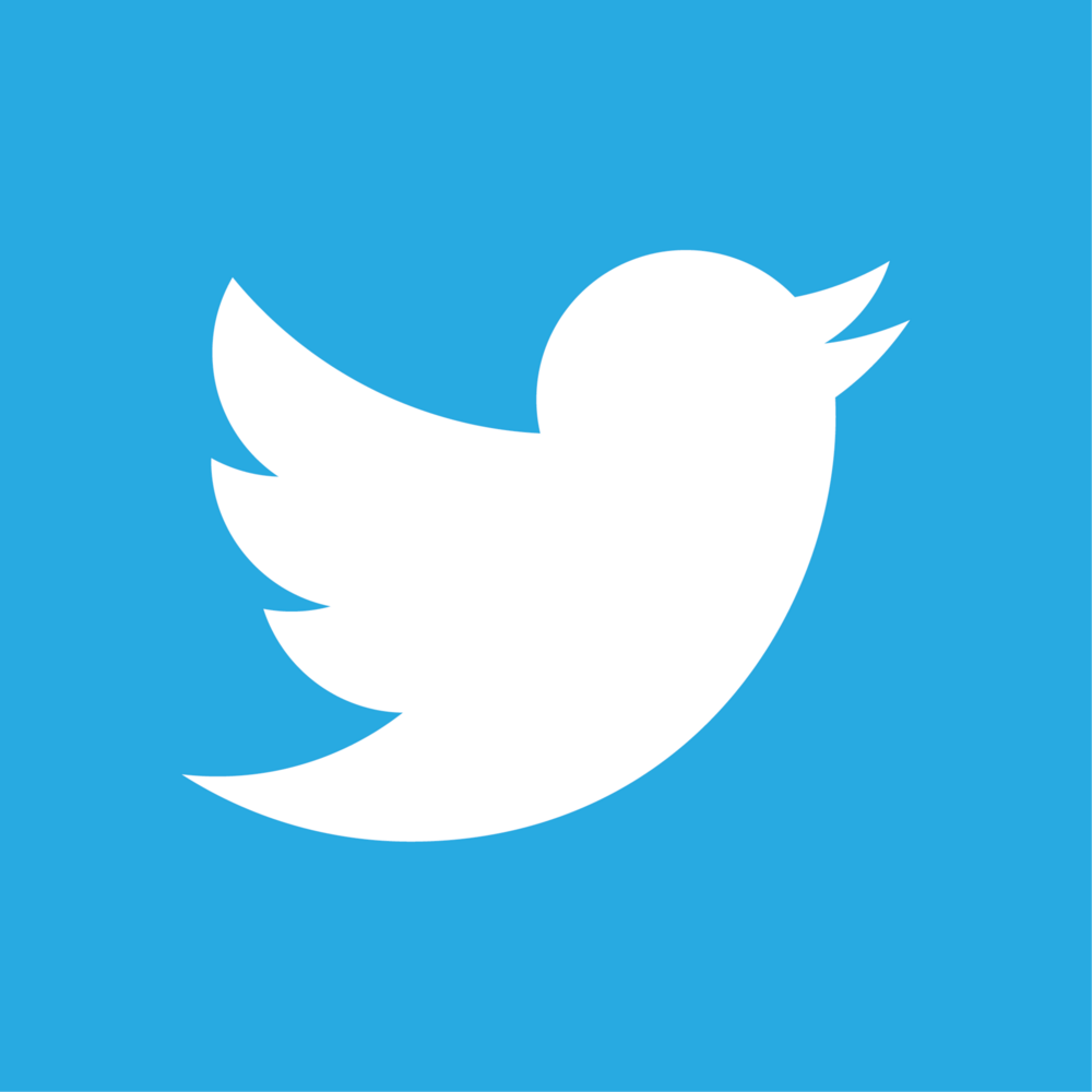 Twitter 2012 Negative Logo PNG Vector