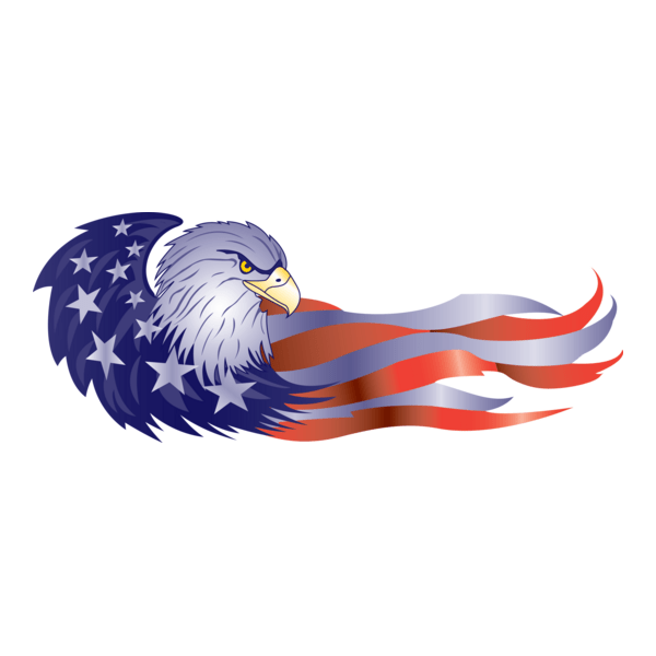 USA Flag Logo PNG Vector