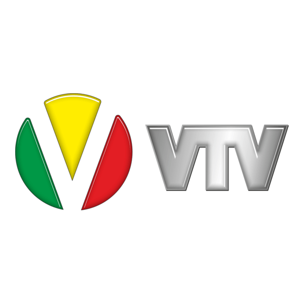 VTV Logo PNG Vector