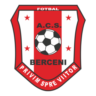 ACS Berceni Logo PNG Vector