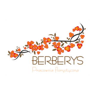 Berberys Logo PNG Vector