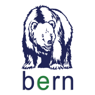 BERN Logo PNG Vector
