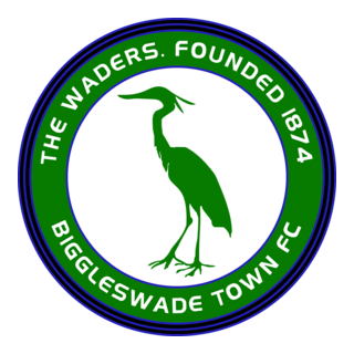 Biggleswade Town FC Logo PNG Vector