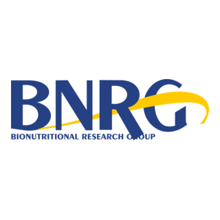 BNRG Logo PNG Vector