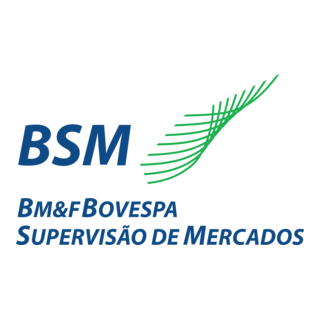 BSM Logo PNG Vector