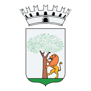 Comune di Noci Logo PNG Vector