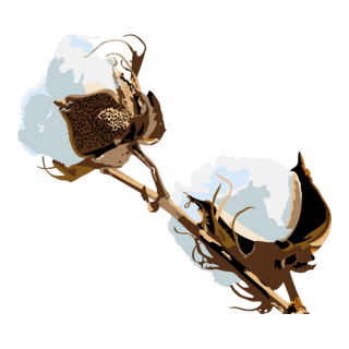 cotton ball Logo PNG Vector