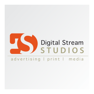 Digital Stream Studios Logo PNG Vector