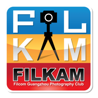 Filkam Logo PNG Vector