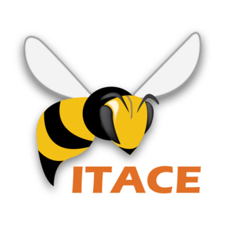 ITACE Logo PNG Vector