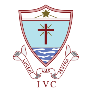 IVC Logo PNG Vector
