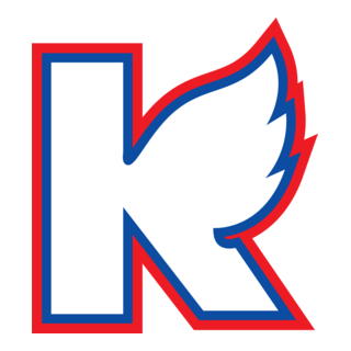 KALAMAZOO Logo PNG Vector