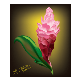 Mesh Logo PNG Vector