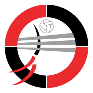 MONTICHIARI VOLLEY Logo PNG Vector