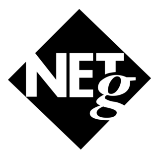 NETg Logo PNG Vector