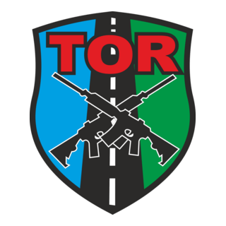 PMGO - TOR - Tático Operacional Rodoviário Logo PNG Vector